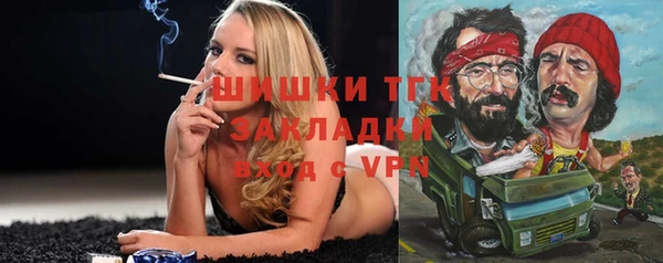 шишки Армянск