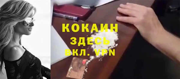 шишки Армянск