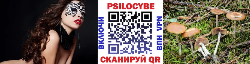 Псилоцибиновые грибы ЛСД Стародуб